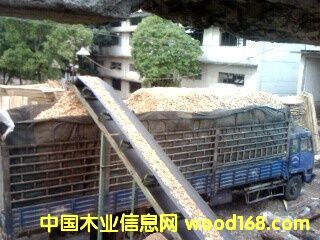 ����鿴����ľƬ�Ŵ�ͼƬ