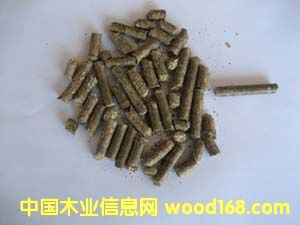 ����鿴���׽ոѿ����Ŵ�ͼƬ