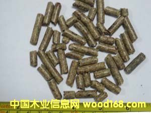 ����鿴��ľ��ĩ�����Ŵ�ͼƬ