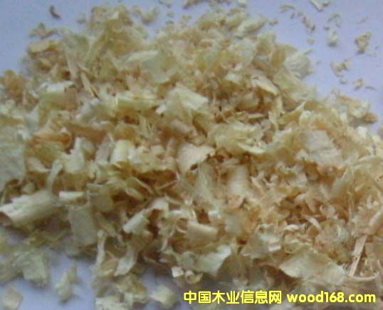 ����鿴�ٻ��Ŵ�ͼƬ