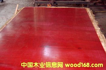 ͸ܶȸĤ񽺺ϰ(;)ϸ