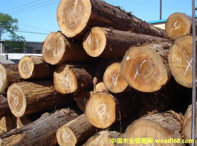 ����鿴��ɼ�Ŵ�ͼƬ