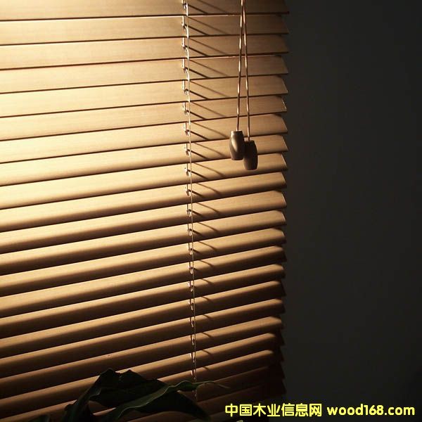 ����鿴1Ӣ���ҶƬ����ϸ����