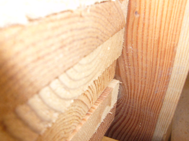 ����鿴�ٹ�ķŴ�ͼƬ