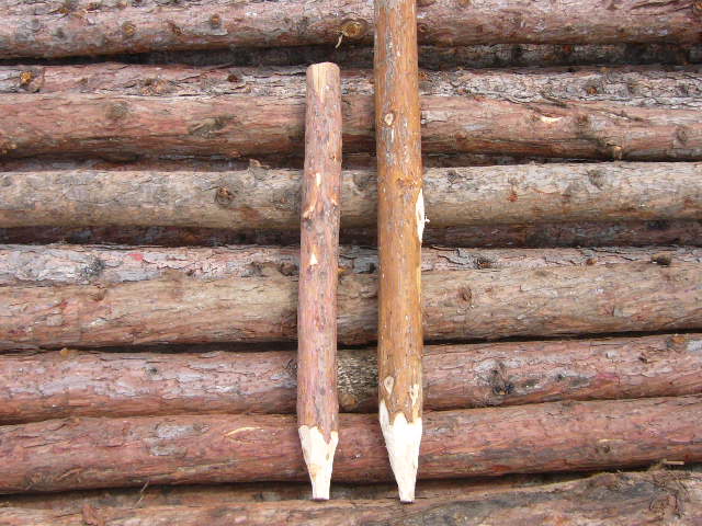 ����鿴��Ҷ�ɷŴ�ͼƬ