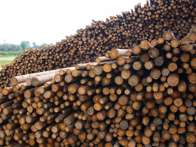 ����鿴ɼľ�Ŵ�ͼƬ