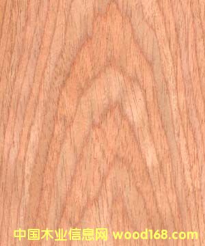 ����鿴��ľ�Ƽ�ľƤ����ϸ����