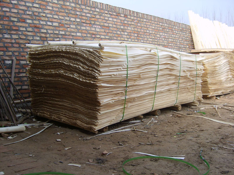 ����鿴��ľ����Ƥ�Ŵ�ͼƬ