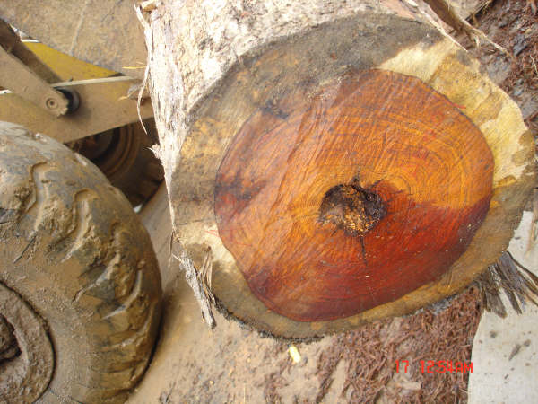 ����鿴��̴�Ŵ�ͼƬ