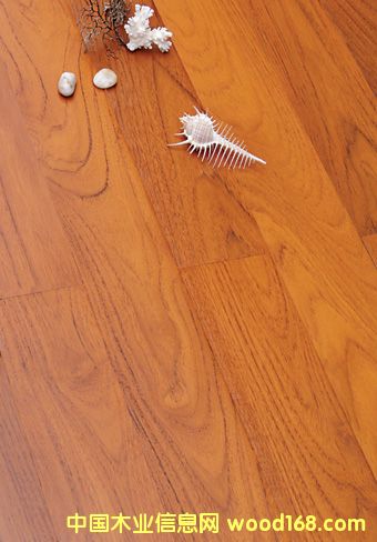 ����鿴�����ľ�ذ�-��Ʒɽ�ƷŴ�ͼƬ