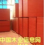 ����鿴����ģ��Ŵ�ͼƬ