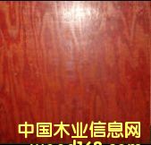 ����鿴��ľ��Ŵ�ͼƬ