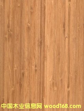 ����鿴��Ƥ�Ŵ�ͼƬ