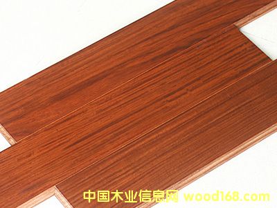 ����鿴�㻨��Ŵ�ͼƬ