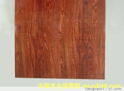 ����鿴ģ��Ŵ�ͼƬ