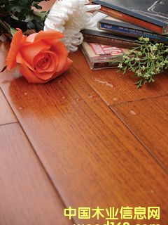 ����鿴ɭ��֮�������ľ�ذ�-��Ʒֱ�ƷŴ�ͼƬ