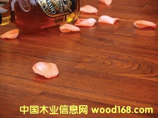 ����鿴ɭ��֮�������ľ�ذ�-��Ʒɽ�ƷŴ�ͼƬ