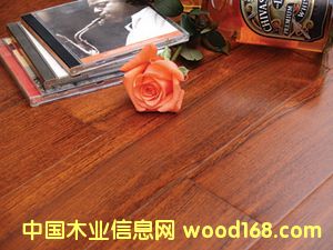 ����鿴ɭ��֮�������ľ�ذ�-��Ʒֱ�ƷŴ�ͼƬ