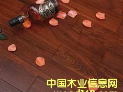 ����鿴ɭ��֮�������ľ�ذ�-��Ʒ�ڷŴ�ͼƬ