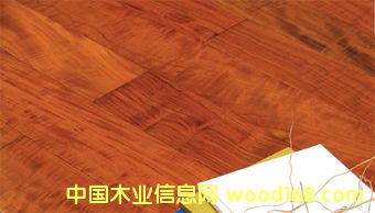 ����鿴ɭ��֮�������ľ�ذ�-��Ʒ����Ӱ�Ŵ�ͼƬ