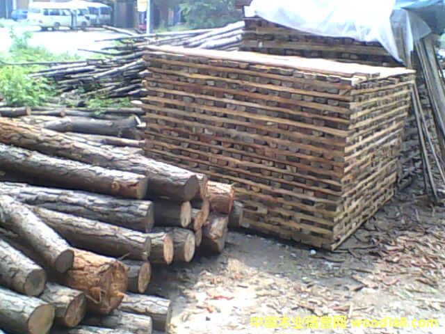 ����鿴��������(��ľ)�Ŵ�ͼƬ