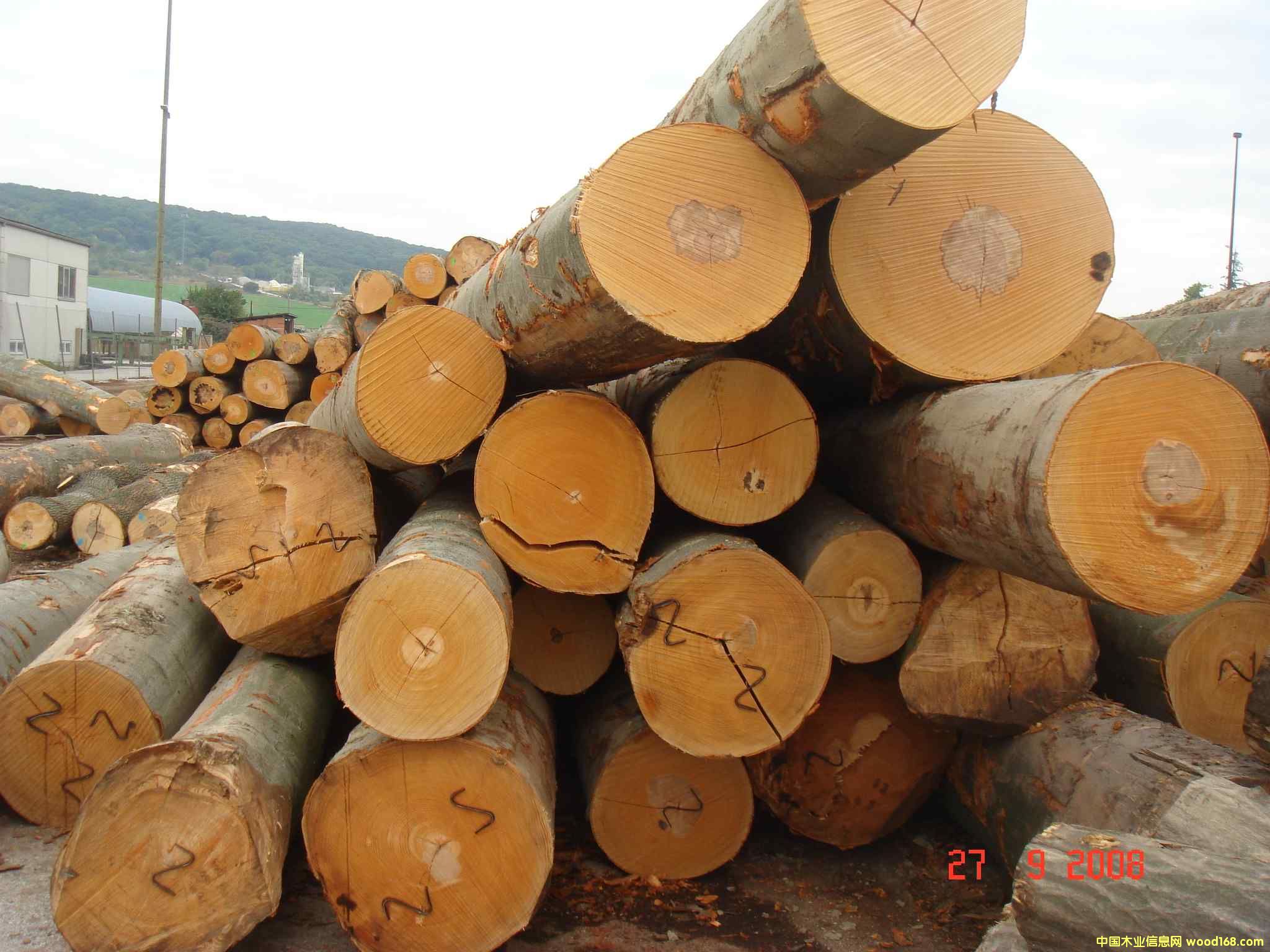 ����鿴ŷ���ľԭľ�Ŵ�ͼƬ