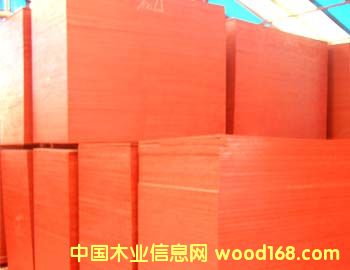 ����鿴����ģ��Ŵ�ͼƬ