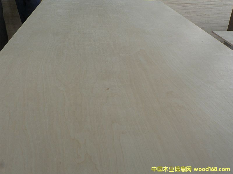 ����鿴��ľ�Ŵ�ͼƬ