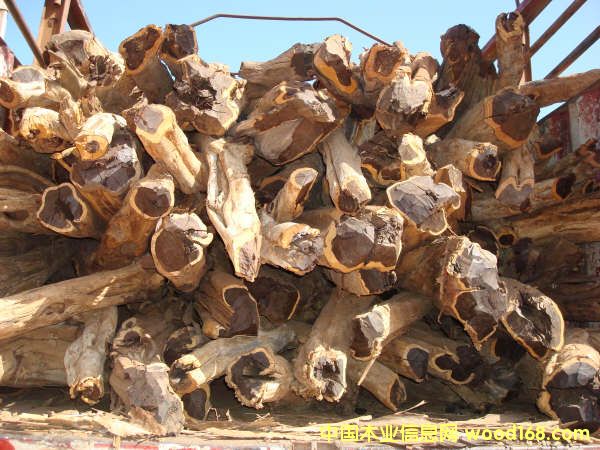 ����鿴���Ǻڻ�̴�Ŵ�ͼƬ