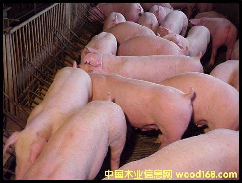 ����鿴������Ԫ�����Ŵ�ͼƬ