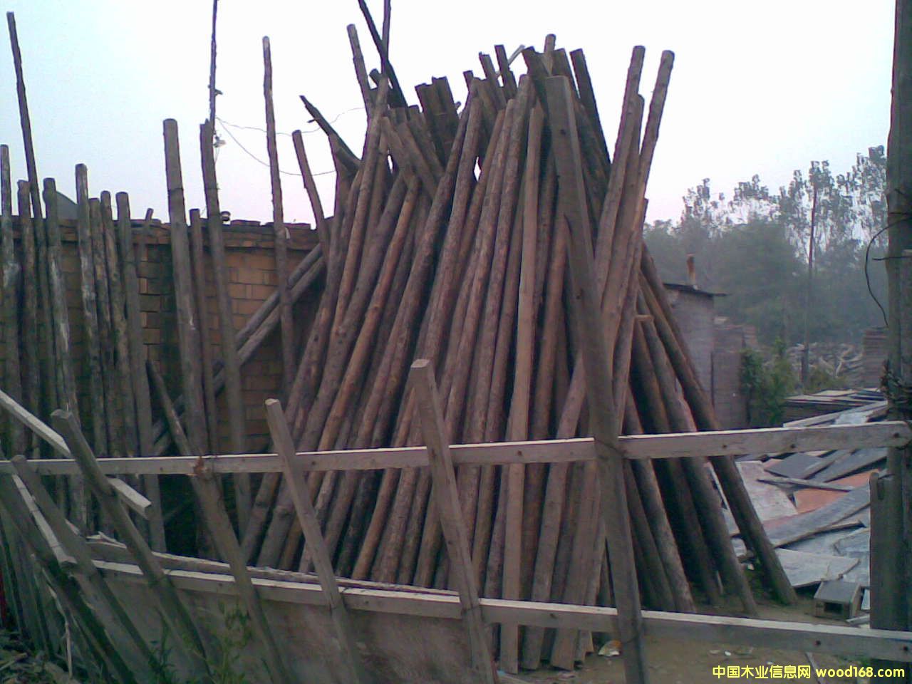 ����鿴Բľ�Ŵ�ͼƬ