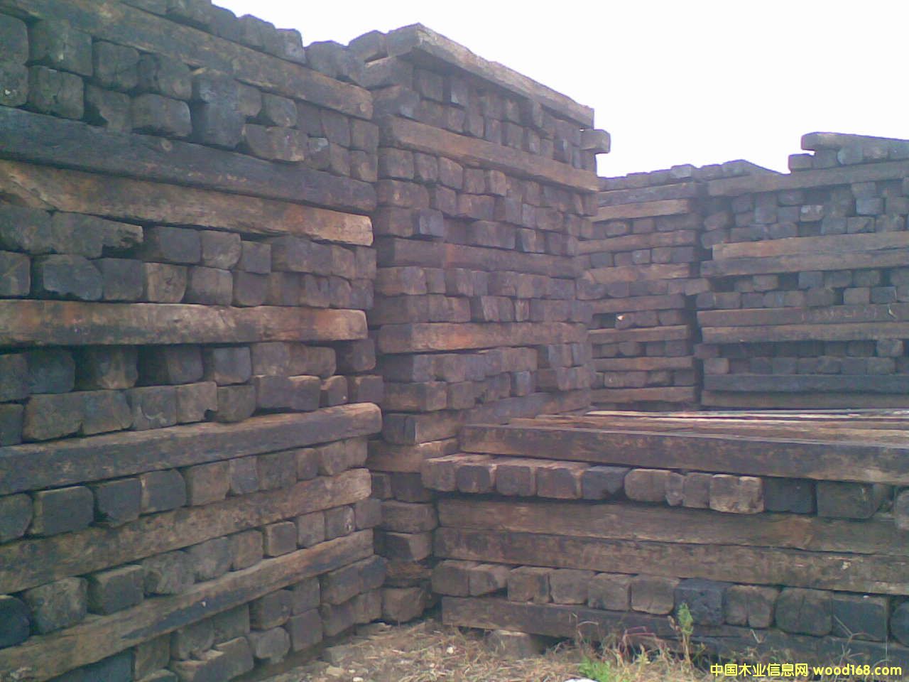 ����鿴��ľ�Ŵ�ͼƬ