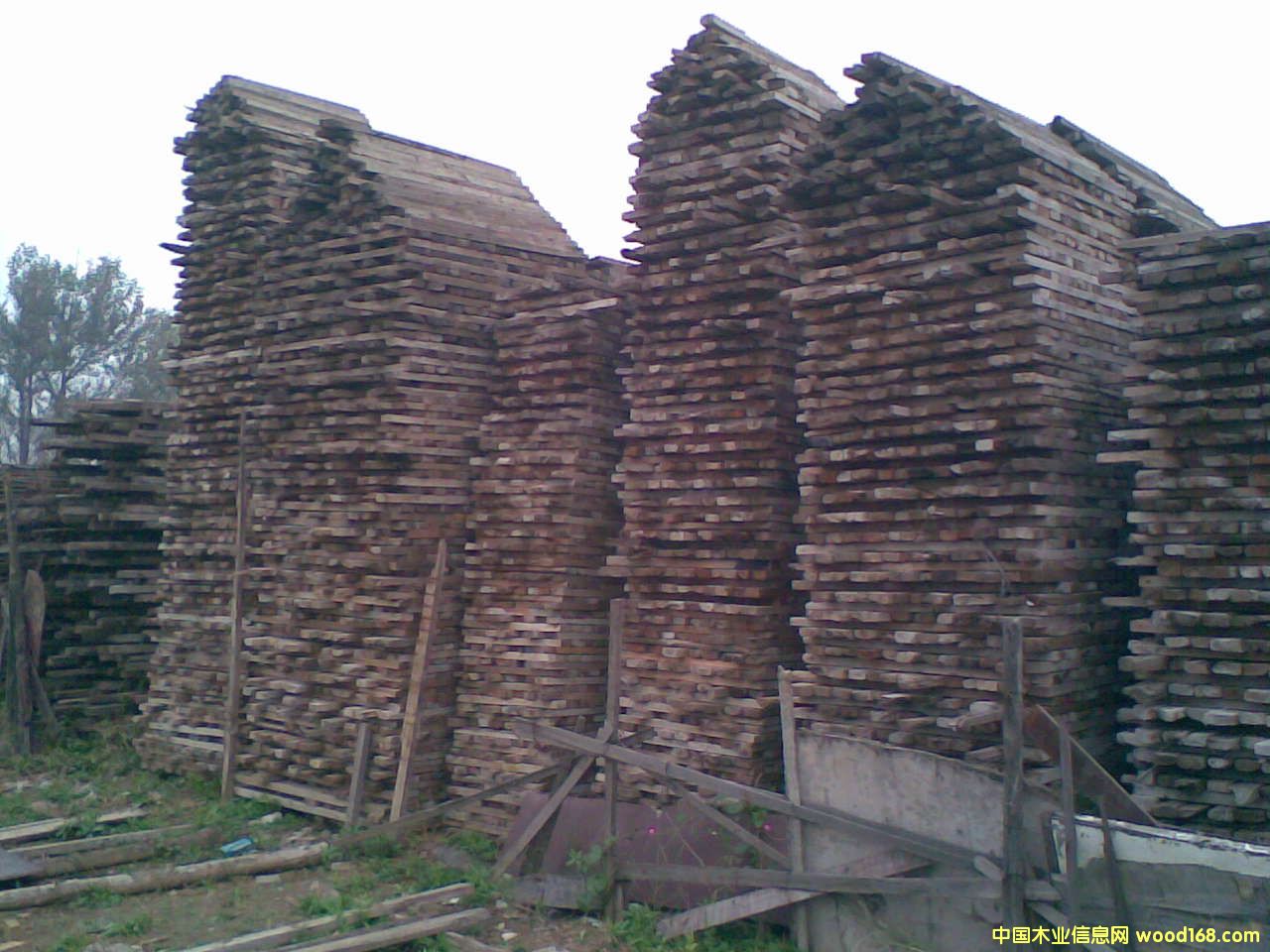 ����鿴��ľ�Ŵ�ͼƬ