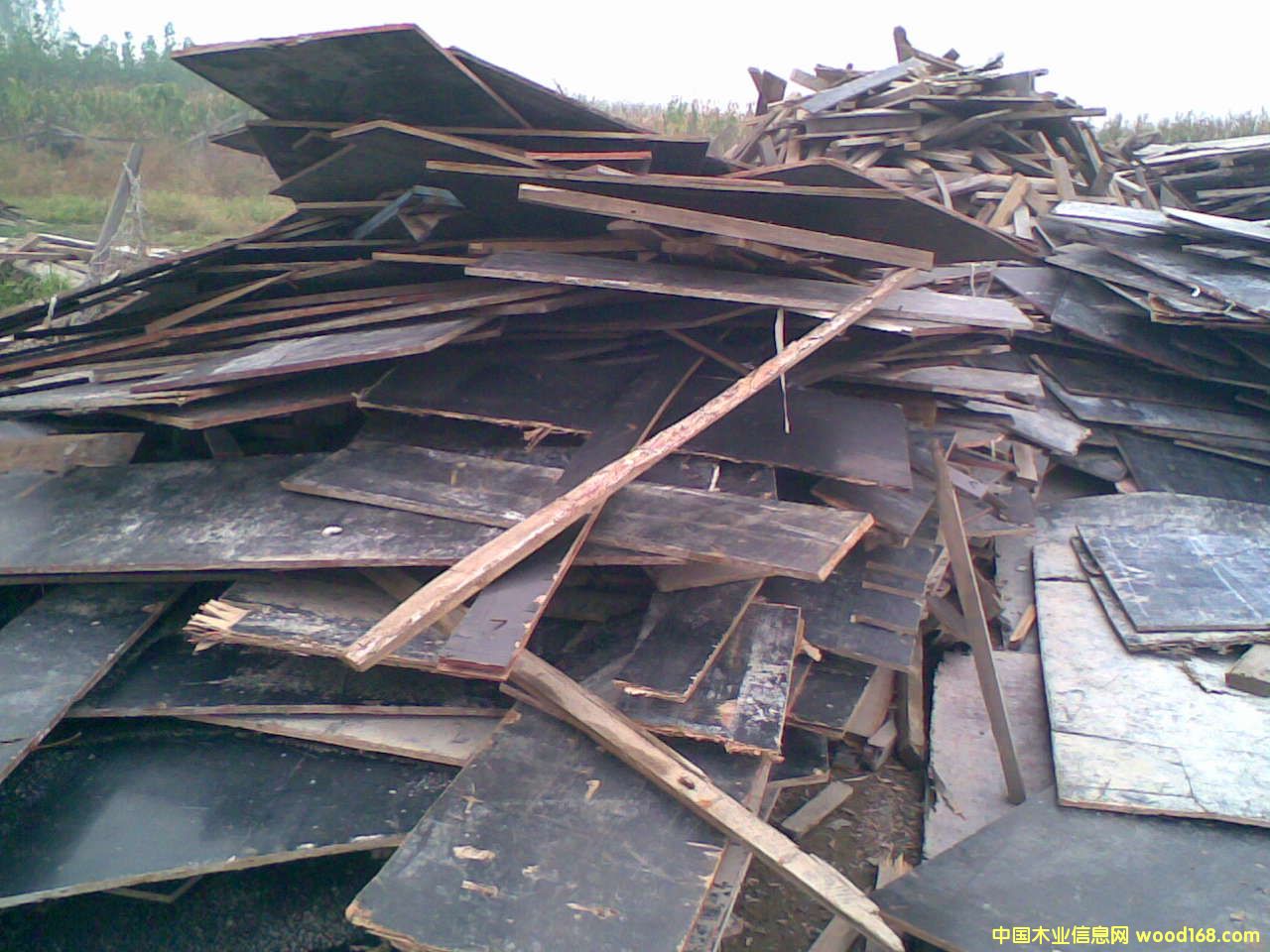 ����鿴��ķŴ�ͼƬ