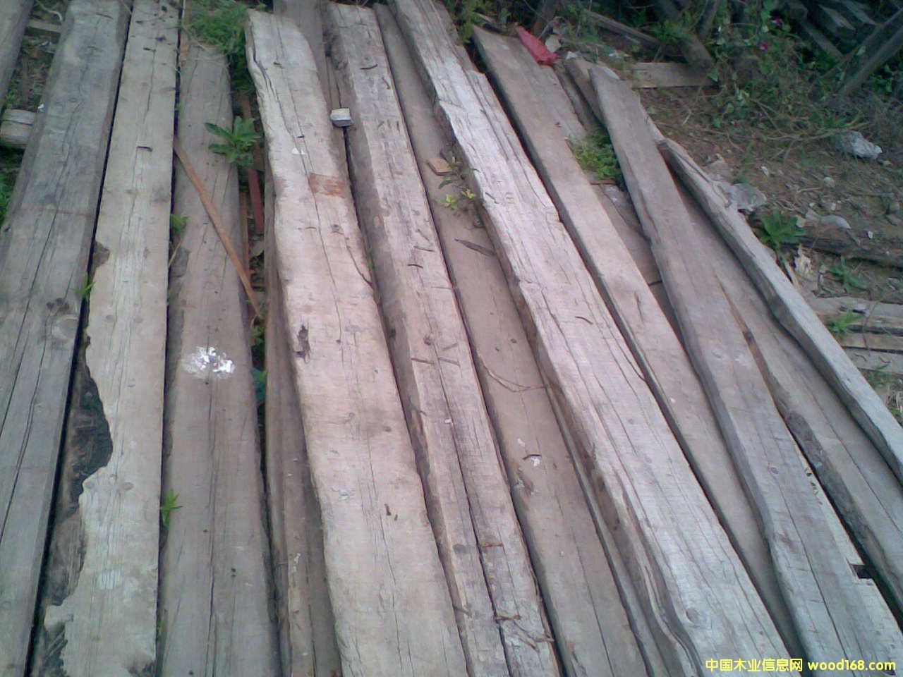 ����鿴�ɰ�ķŴ�ͼƬ