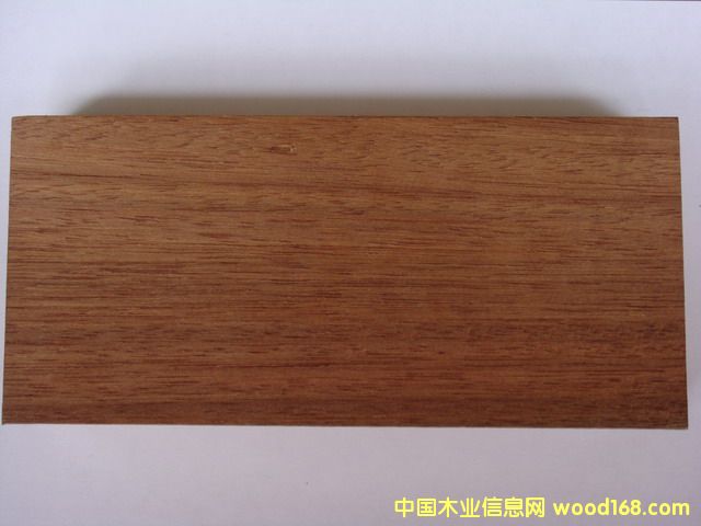 ����鿴������ľ��˫�������Ŵ�ͼƬ