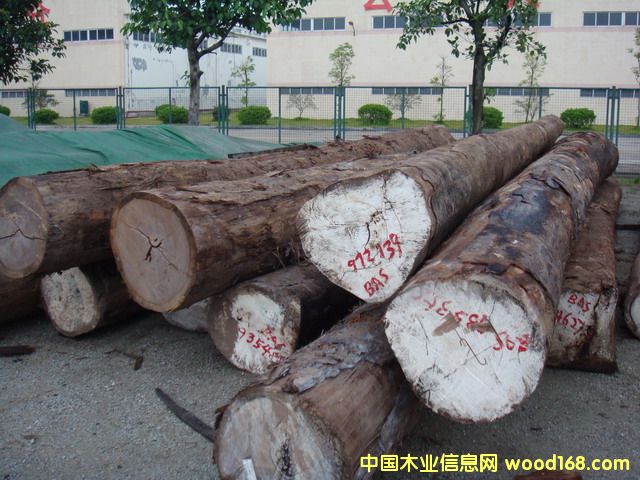 ����鿴����ľ�Ŵ�ͼƬ