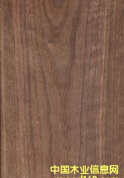 ����鿴�ں���ľƤ�Ŵ�ͼƬ