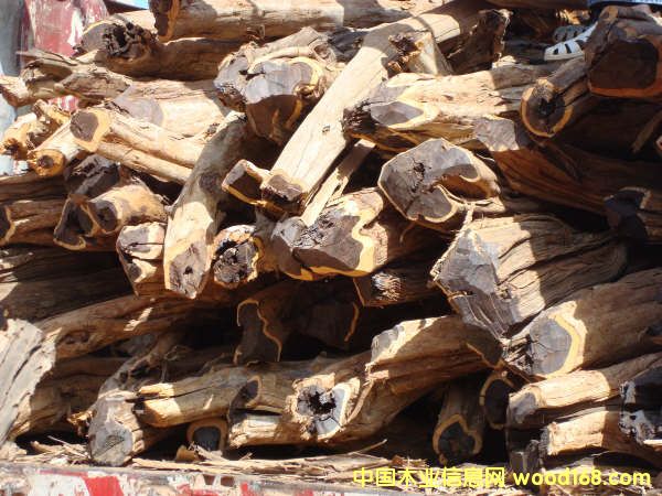 ����鿴������ľ�Ŵ�ͼƬ