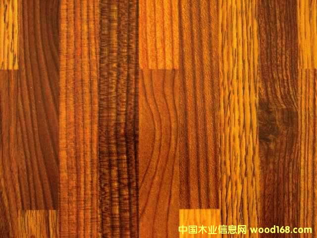 ����鿴����ֽ�Ŵ�ͼƬ