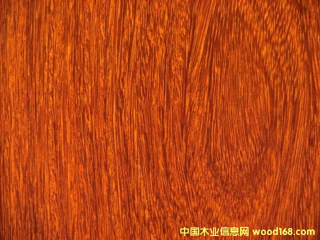 ����鿴����ֽ�Ŵ�ͼƬ