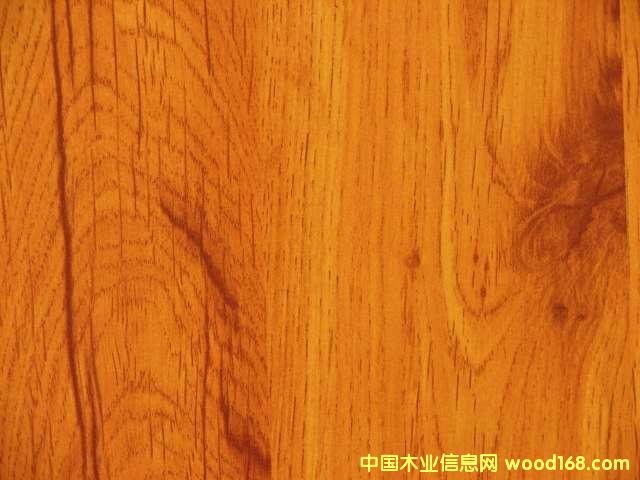 ����鿴����ֽ�Ŵ�ͼƬ