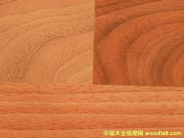 ����鿴����ֽ�Ŵ�ͼƬ