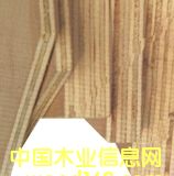 ����鿴���ϰ�Ŵ�ͼƬ