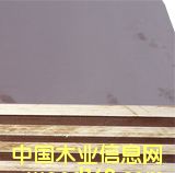 ����鿴����ģ��Ŵ�ͼƬ