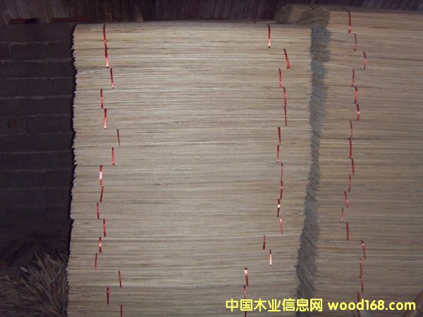 ����鿴��ľ��Ŵ�ͼƬ