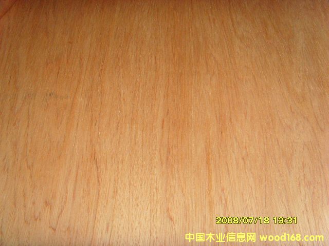 ����鿴��ľ����Ŵ�ͼƬ