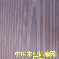 ����鿴EV���ƺ���֦E0�Ŵ�ͼƬ