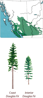 ����鿴�����ɷŴ�ͼƬ