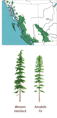 ����鿴̫ƽ�󺣰���ɼ�Ŵ�ͼƬ